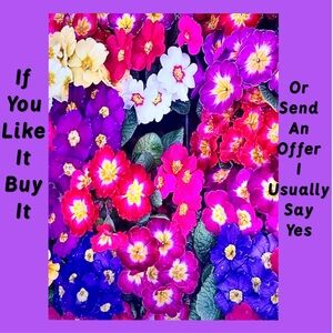 Make a Bundle. Pay 1 Shipping Fee